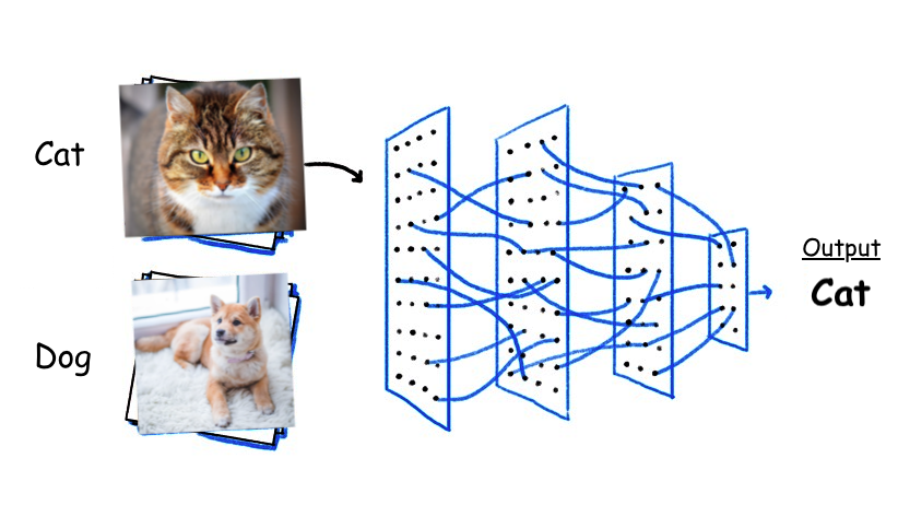Image Classifier
